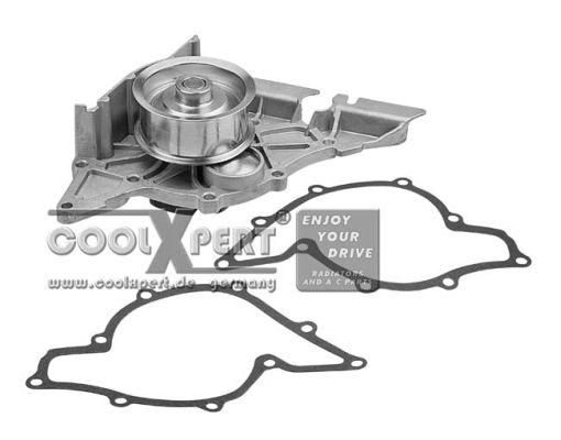 BBR AUTOMOTIVE Водяной насос 002-60-02175